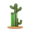 Cactus Krabpaal Evi Kamyra Home